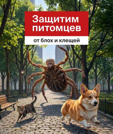Профессиональная защита питомцев — со скидкой до 35%