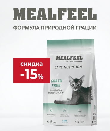 Mealfeel Care Nutrition — забота без компромиссов!