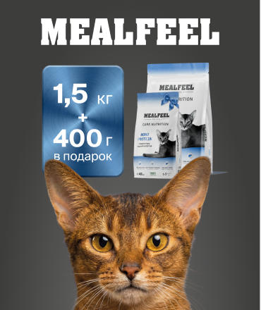 Позаботьтесь о любимце с выгодой: акция от Mealfeel 