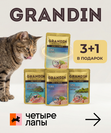 Grandin 3+1 в "Четыре Лапы" Grandin 3+1 в "Четыре Лапы"