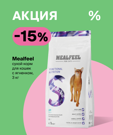 Акция на премиальный сухой корм для кошек Mealfeel