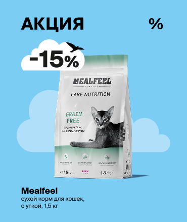 Вкусный август: скидка 15% на сухой корм Mealfeel для кошек! 