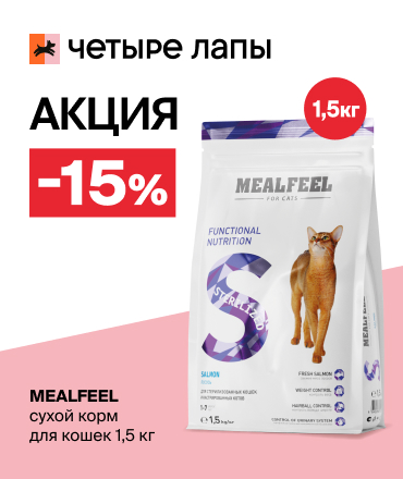 Сухой корм для кошек Mealfeel со скидкой 15%
