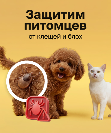 Весенняя защита для питомцев Весенняя защита для питомцев
