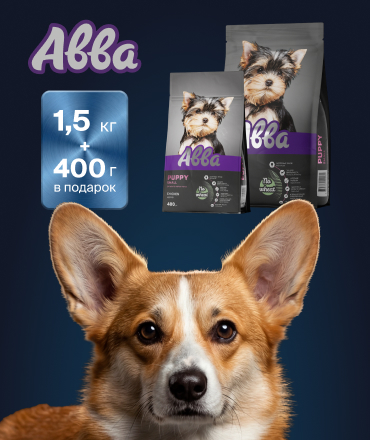 Подарите вашему любимцу здоровое будущее — с акцией от "Авва"! 