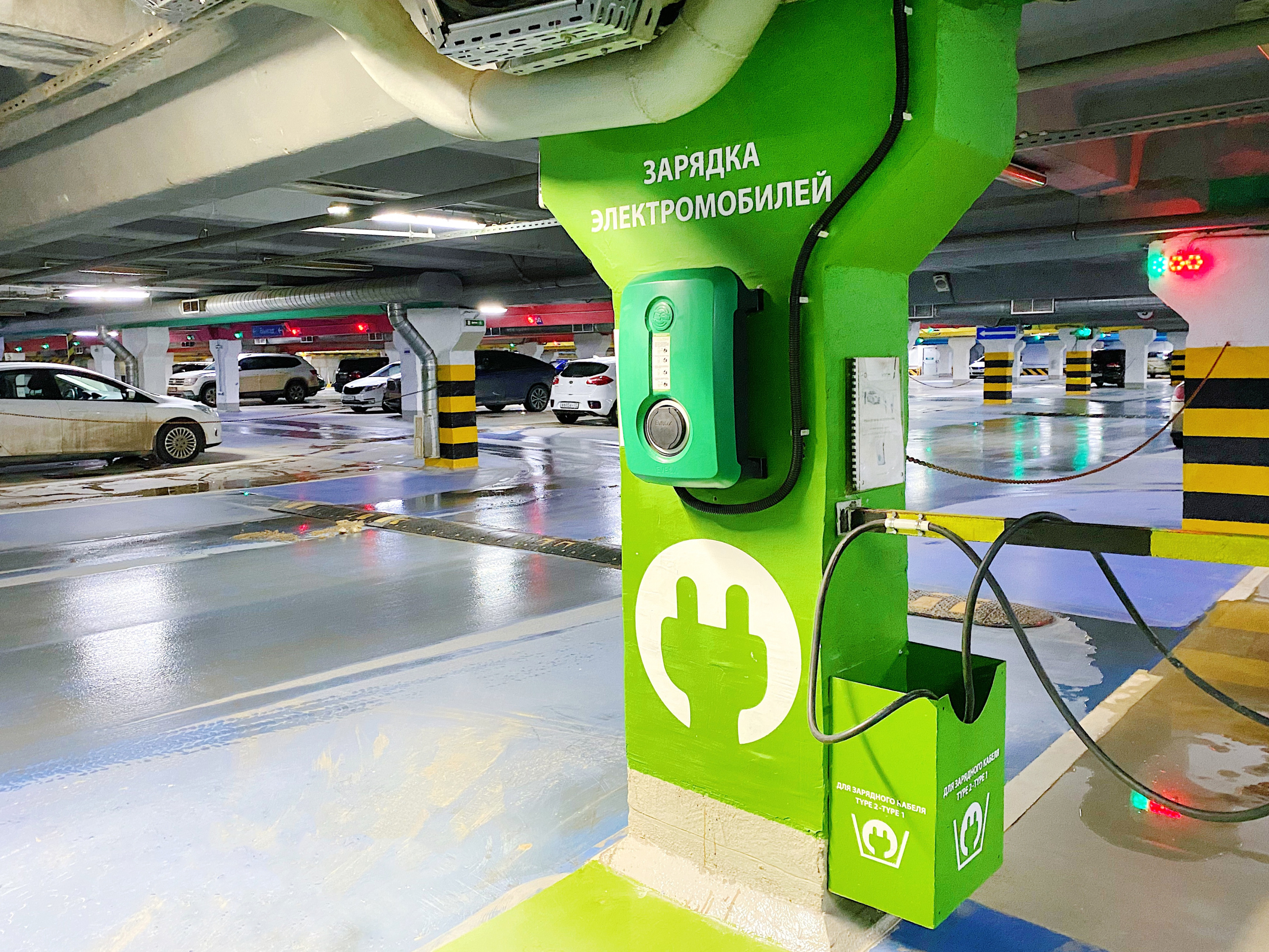 IMG_6940.jpeg IMG_6940.jpeg