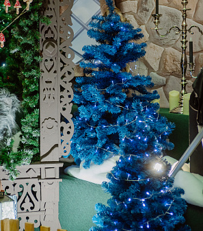 Резиденция Деда Мороза 2024/2025