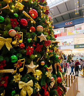 Открытие Резиденции Деда Мороза!