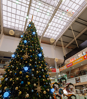 Резиденция Деда Мороза 2024/2025