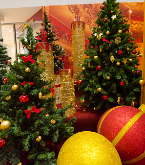 Открытие Резиденции Деда Мороза!