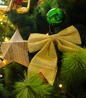 Открытие Резиденции Деда Мороза!