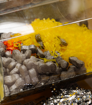 18 апреля – Лето в лагере