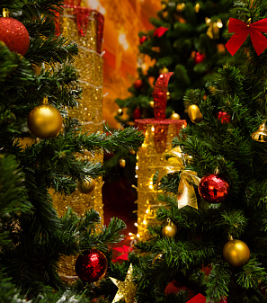 Открытие Резиденции Деда Мороза!