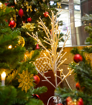 Открытие Резиденции Деда Мороза!