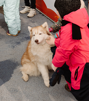 2 марта – Масленица