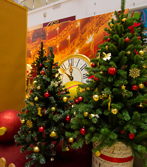 Открытие Резиденции Деда Мороза!