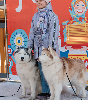 17 марта – Масленица