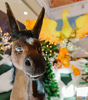 Резиденция Деда Мороза 2024/2025