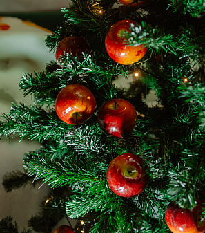 Резиденция Деда Мороза 2024/2025