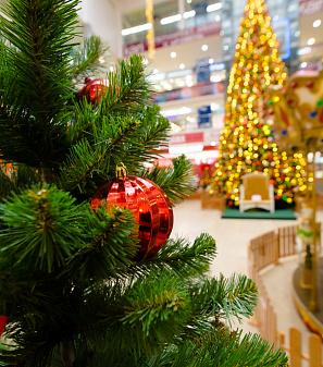 Открытие Резиденции Деда Мороза!