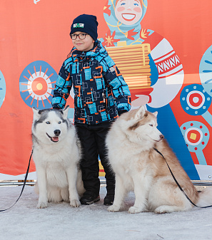 17 марта – Масленица