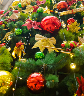 Открытие Резиденции Деда Мороза!