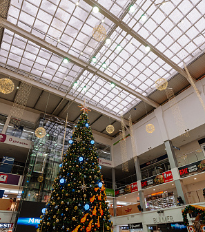 Резиденция Деда Мороза 2024/2025