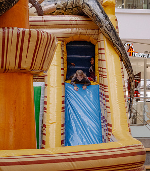 Резиденция Деда Мороза 2025/2026