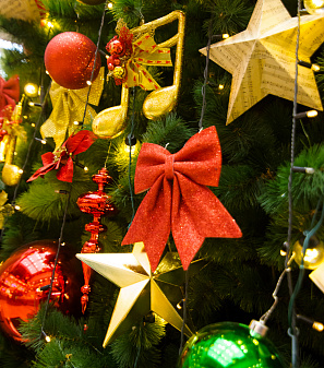 Открытие Резиденции Деда Мороза!