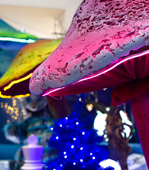 Резиденция Деда Мороза 2021/2022 год