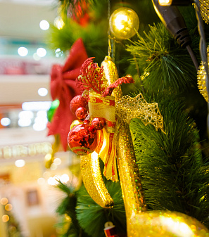 Открытие Резиденции Деда Мороза!