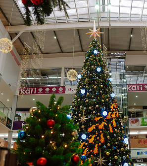 Резиденция Деда Мороза 2024/2025