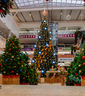 Резиденция Деда Мороза 2024/2025