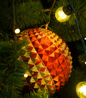 Открытие Резиденции Деда Мороза!