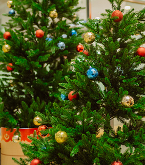 Резиденция Деда Мороза 2024/2025