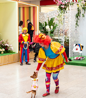 11 февраля – Открытие "Весна–Парка" 