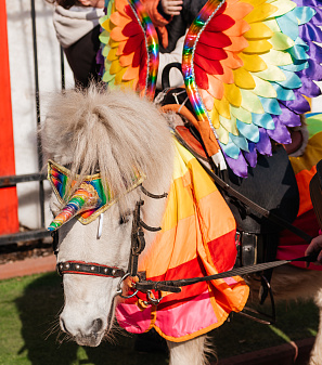 17 марта – Масленица