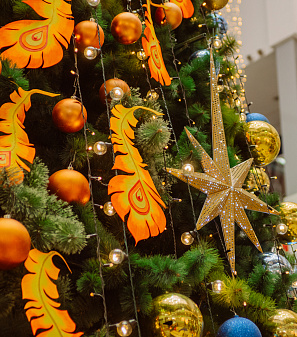 Резиденция Деда Мороза 2024/2025