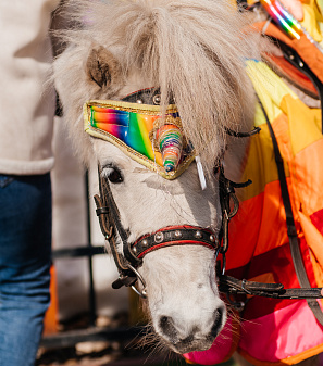 17 марта – Масленица