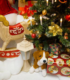 Открытие Резиденции Деда Мороза!