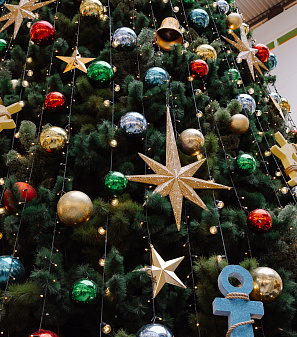 Резиденция Деда Мороза 2025/2026