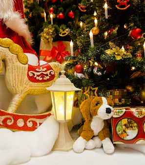 Открытие Резиденции Деда Мороза!