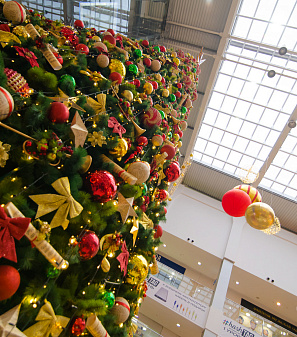 Открытие Резиденции Деда Мороза!