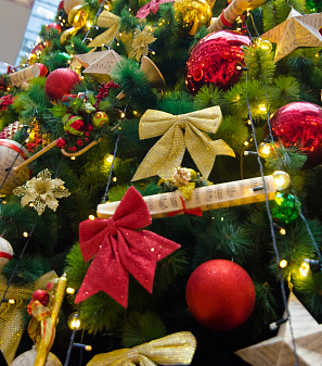 Открытие Резиденции Деда Мороза!