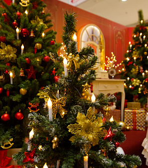 Открытие Резиденции Деда Мороза!