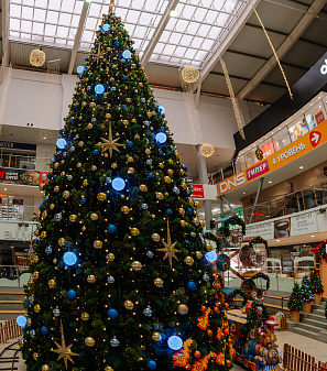 Резиденция Деда Мороза 2024/2025