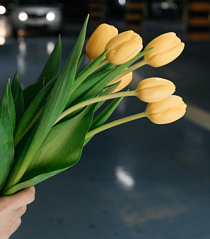 8 марта – Весна прекрасна. И ты!