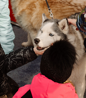 2 марта – Масленица