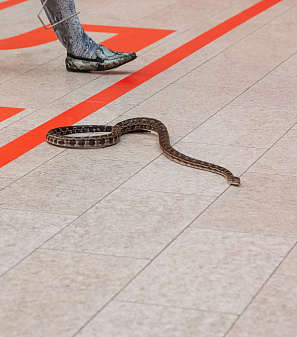 30 июня — розыгрыш призов "Миллион на шопинг"