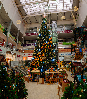 Резиденция Деда Мороза 2024/2025